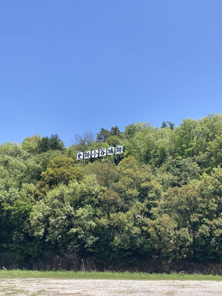 小谷城跡